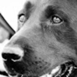 Meet your Posher, Rob